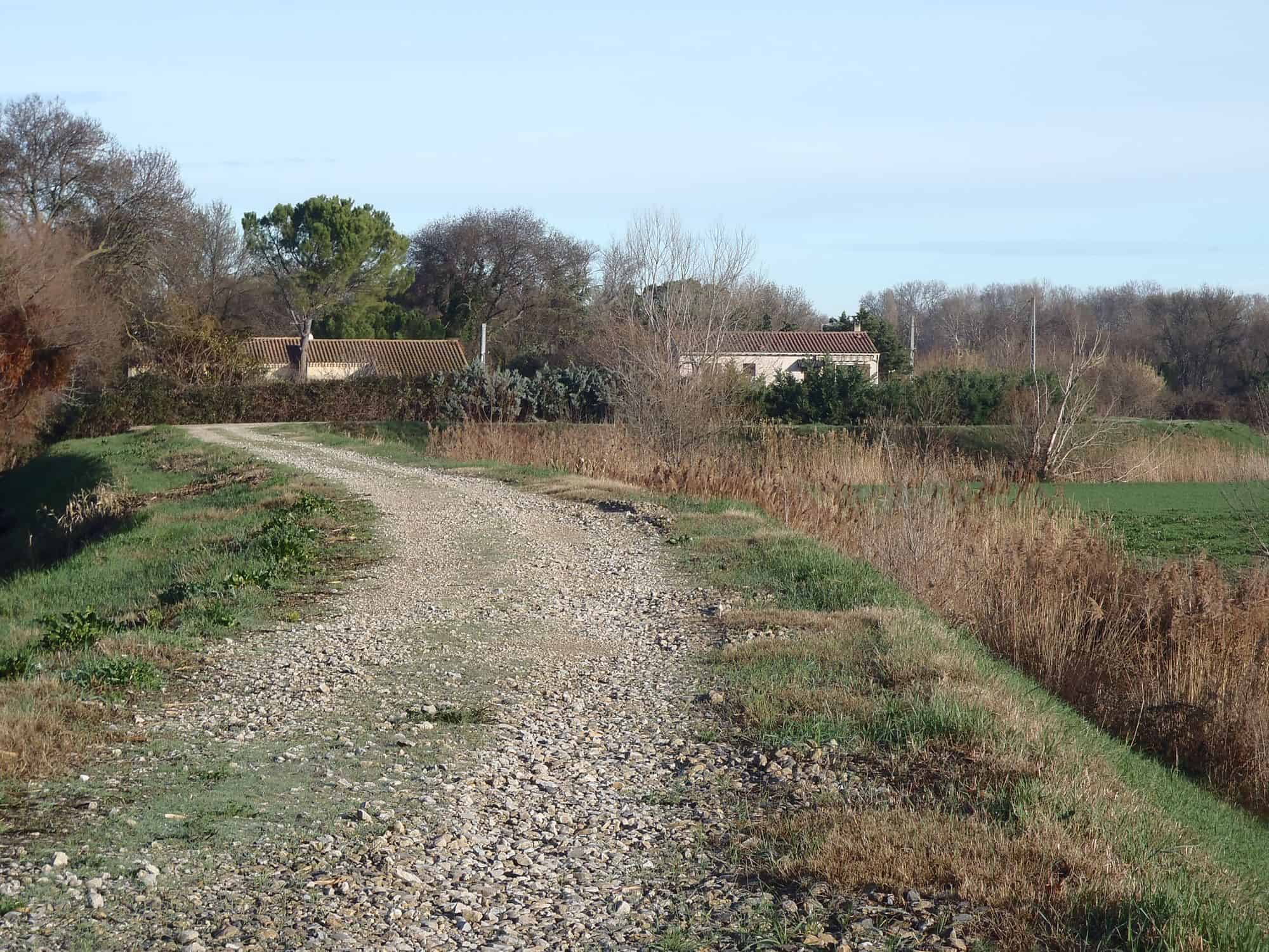Digue de la Méjane au Cailar