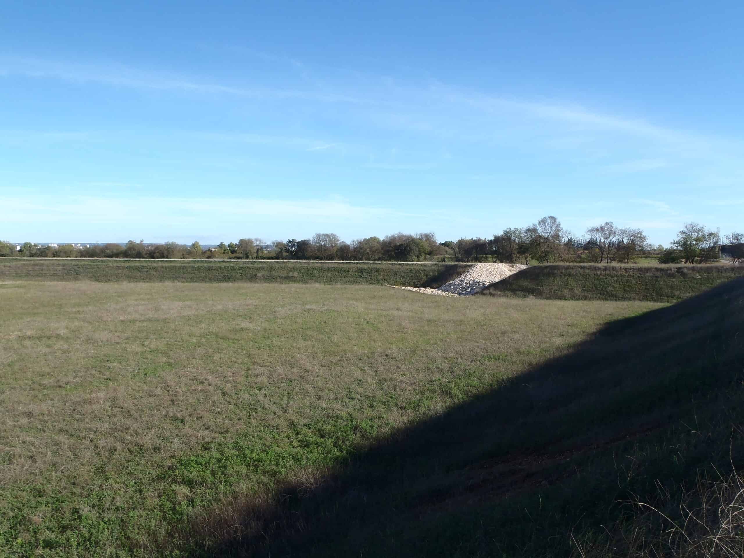 Bassin Nord d'Aubord sur le Grand Campagnol