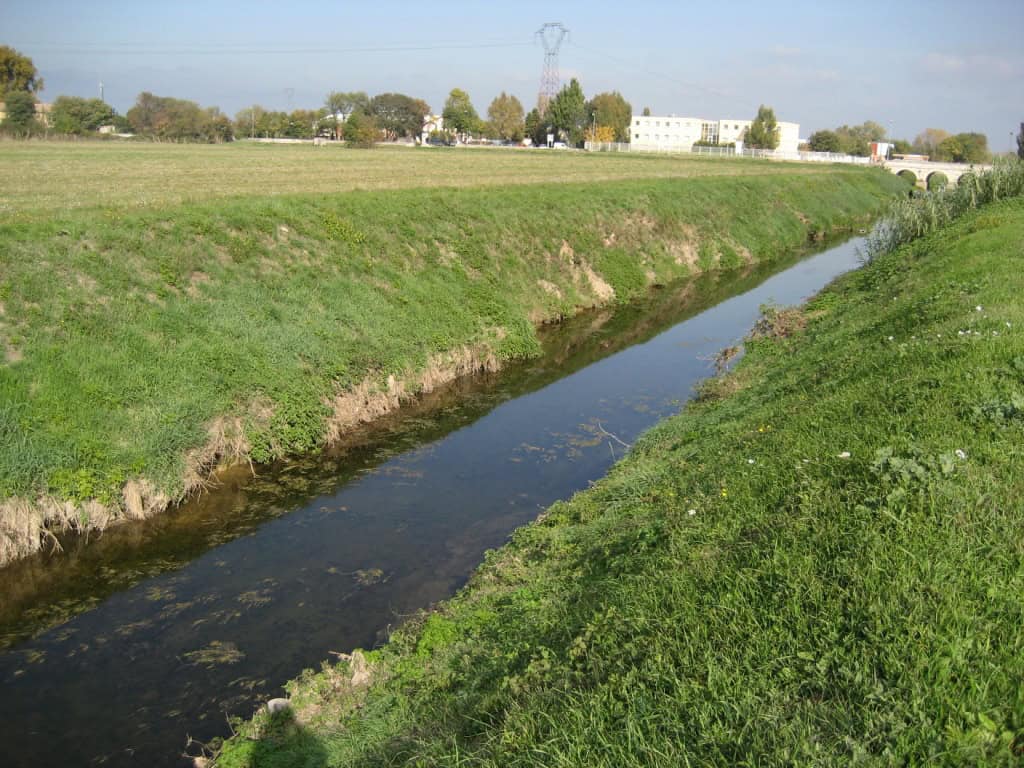 Le Vistre à Caissargues en 2007