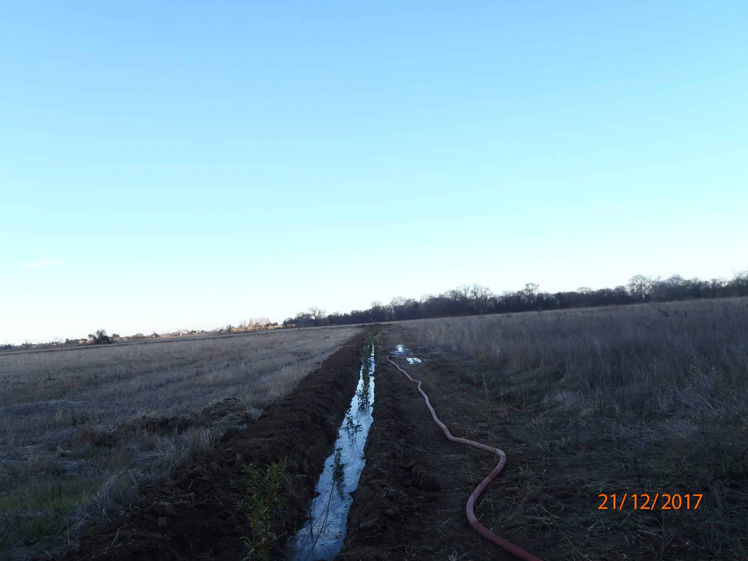 Arrosage de plants nouveaux dans une noue, à AUBORD