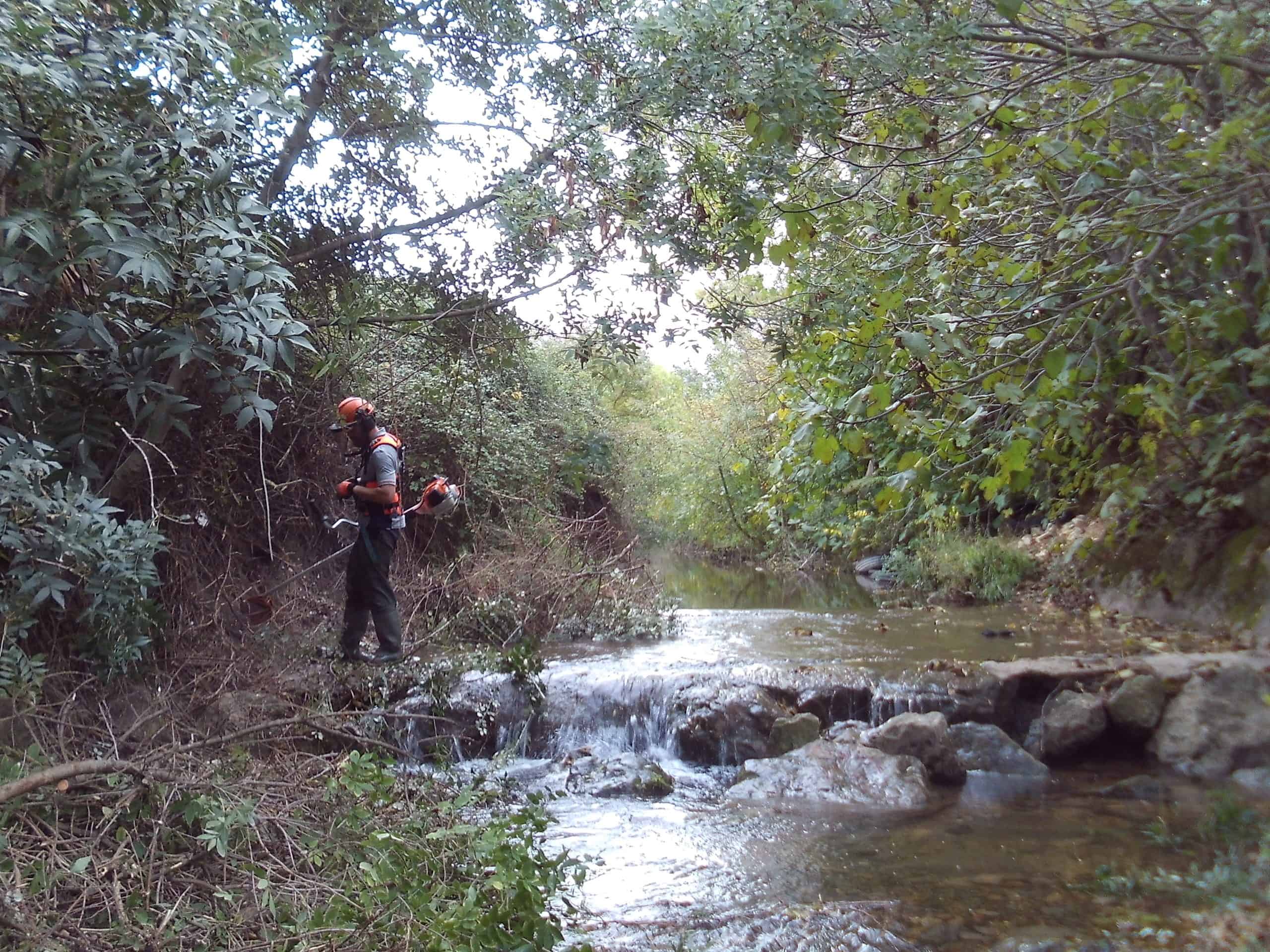Débroussaillage des bas berge du Grand Campagnolle à Aubord