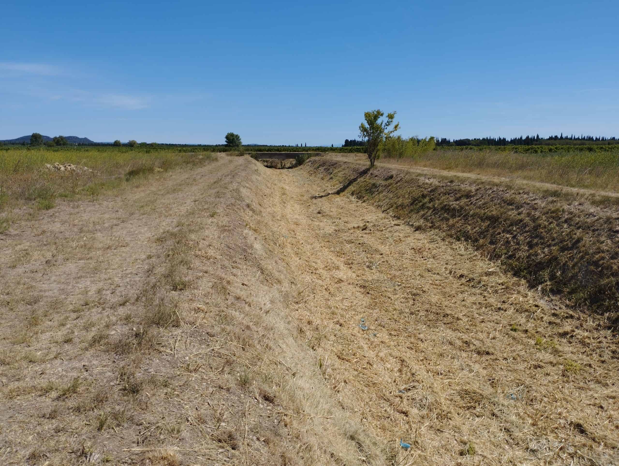 Faucardage en plein du Buffalon à Bezouce