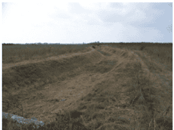 Le Buffalon à Redessan