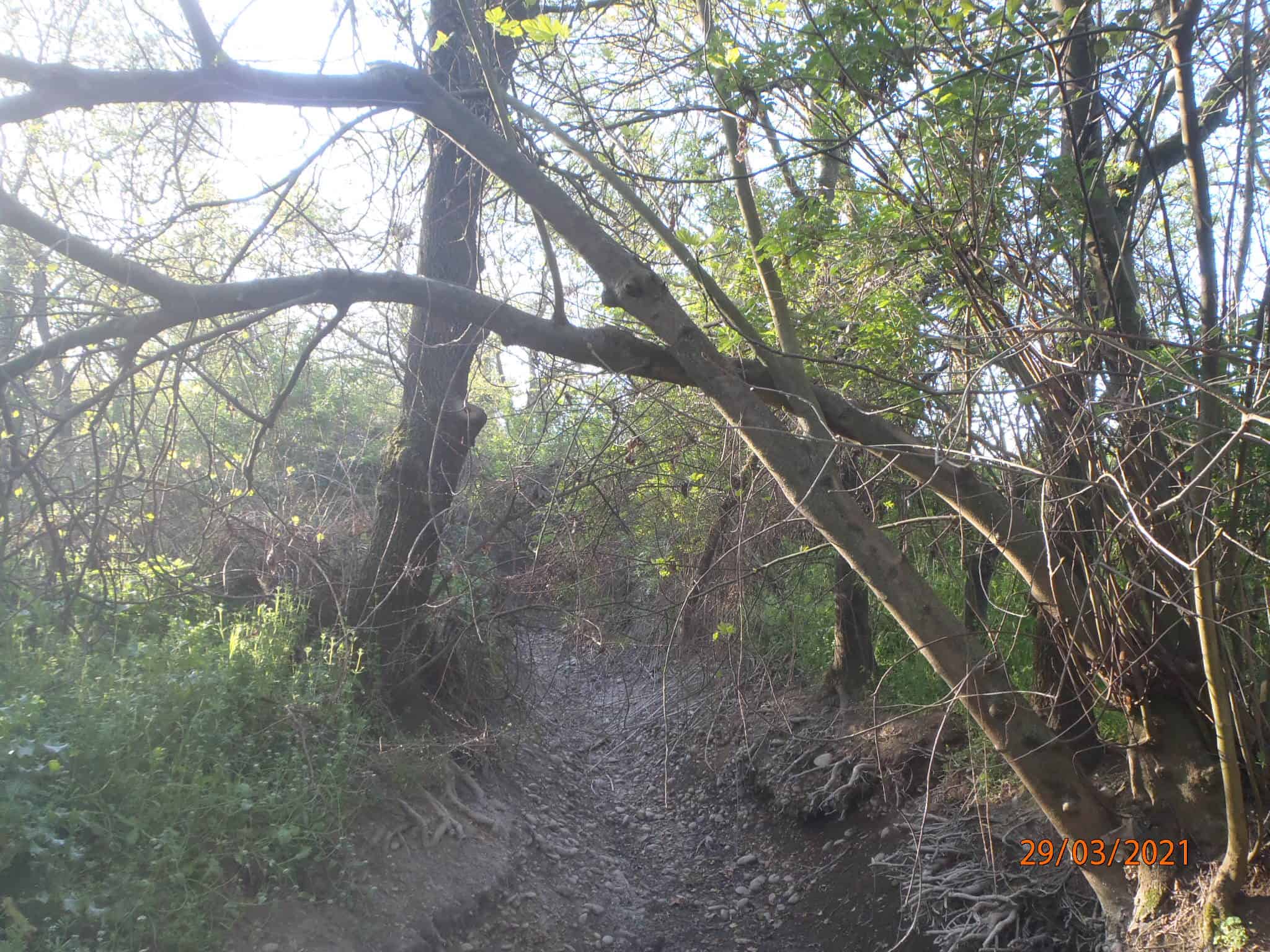 Le Campagnolle à Aubord- Hiver 2021