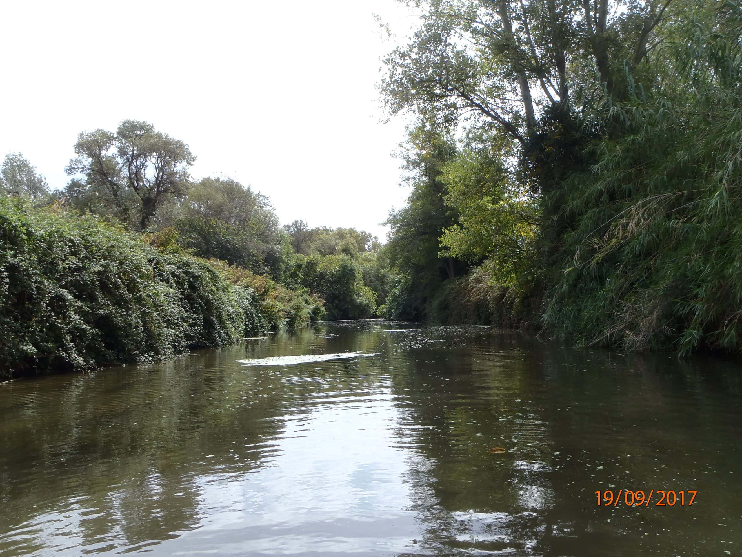 Le Vistre à Vauvert