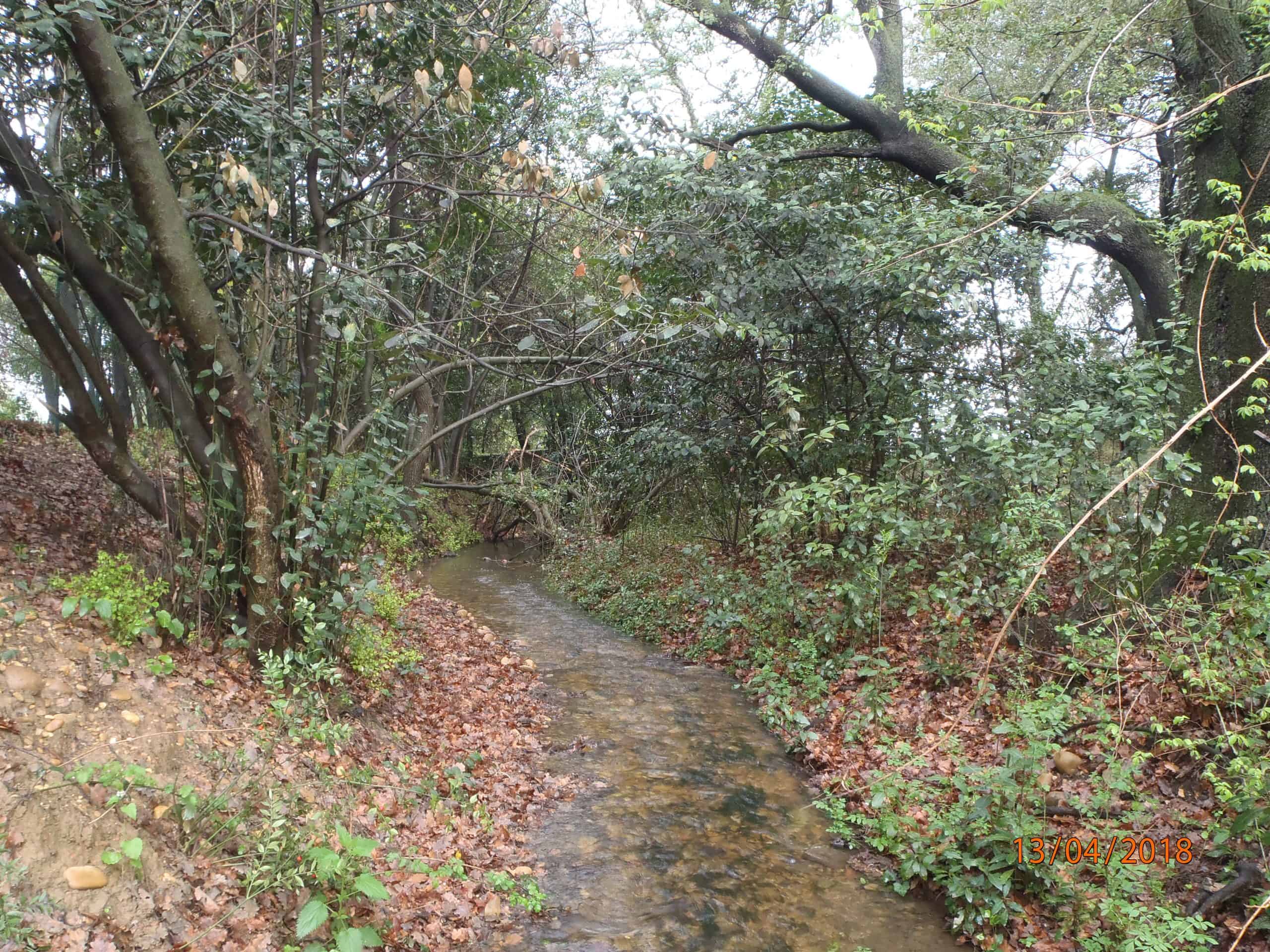 Le Mirman à Caissargues